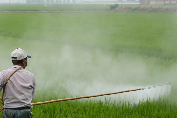 Plaguicidas de uso Agrícola. Nivel Básico. Modalidad Online. 27 de mayo 2025