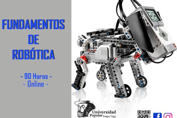 Fundamentos de robótica