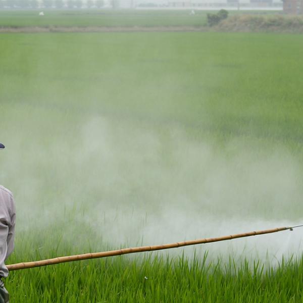 Plaguicidas de uso agrícola. Nivel básico. Modalidad presencial.