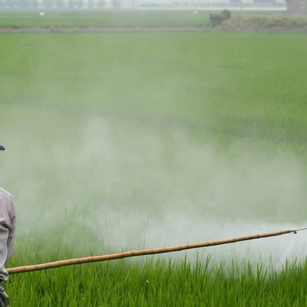 Plaguicidas de uso agrícola. Nivel básico. Modalidad online.