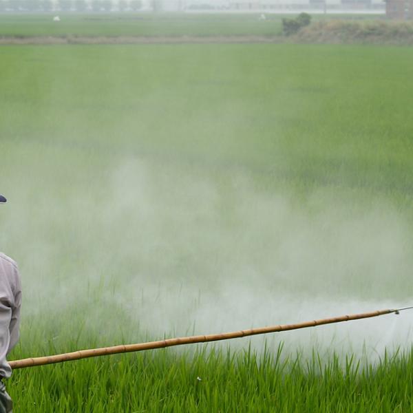 Plaguicidas de uso agrícola. Nivel básico. Modalidad online.